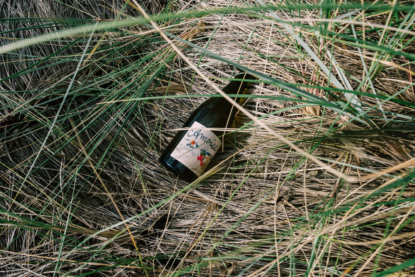 Amphora Albariño 2023