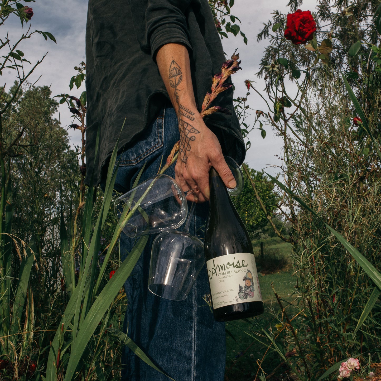 Amphora Chenin Blanc 2024