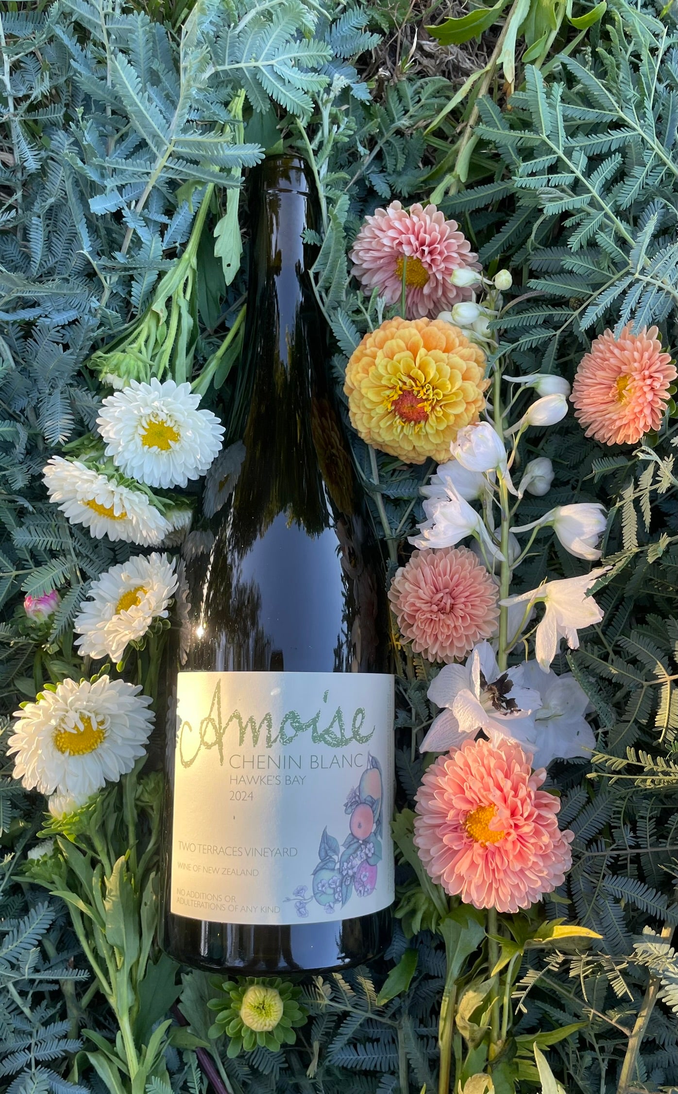 Amphora Chenin Blanc 2024