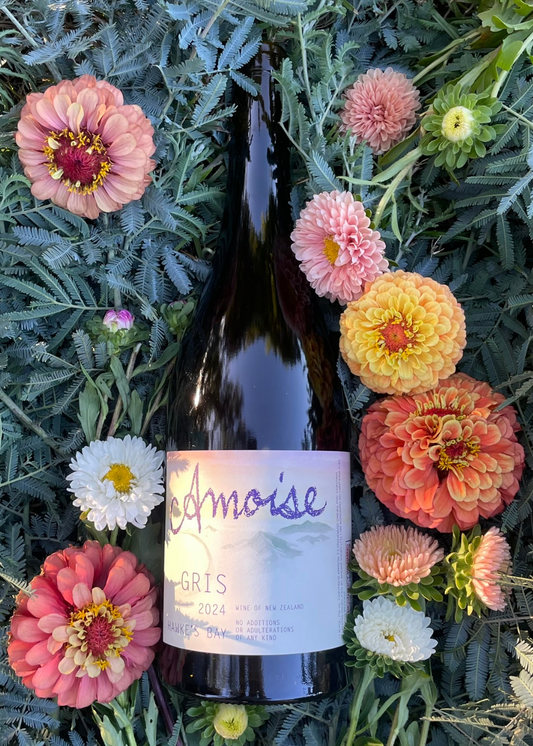 Amphora Gris 2024