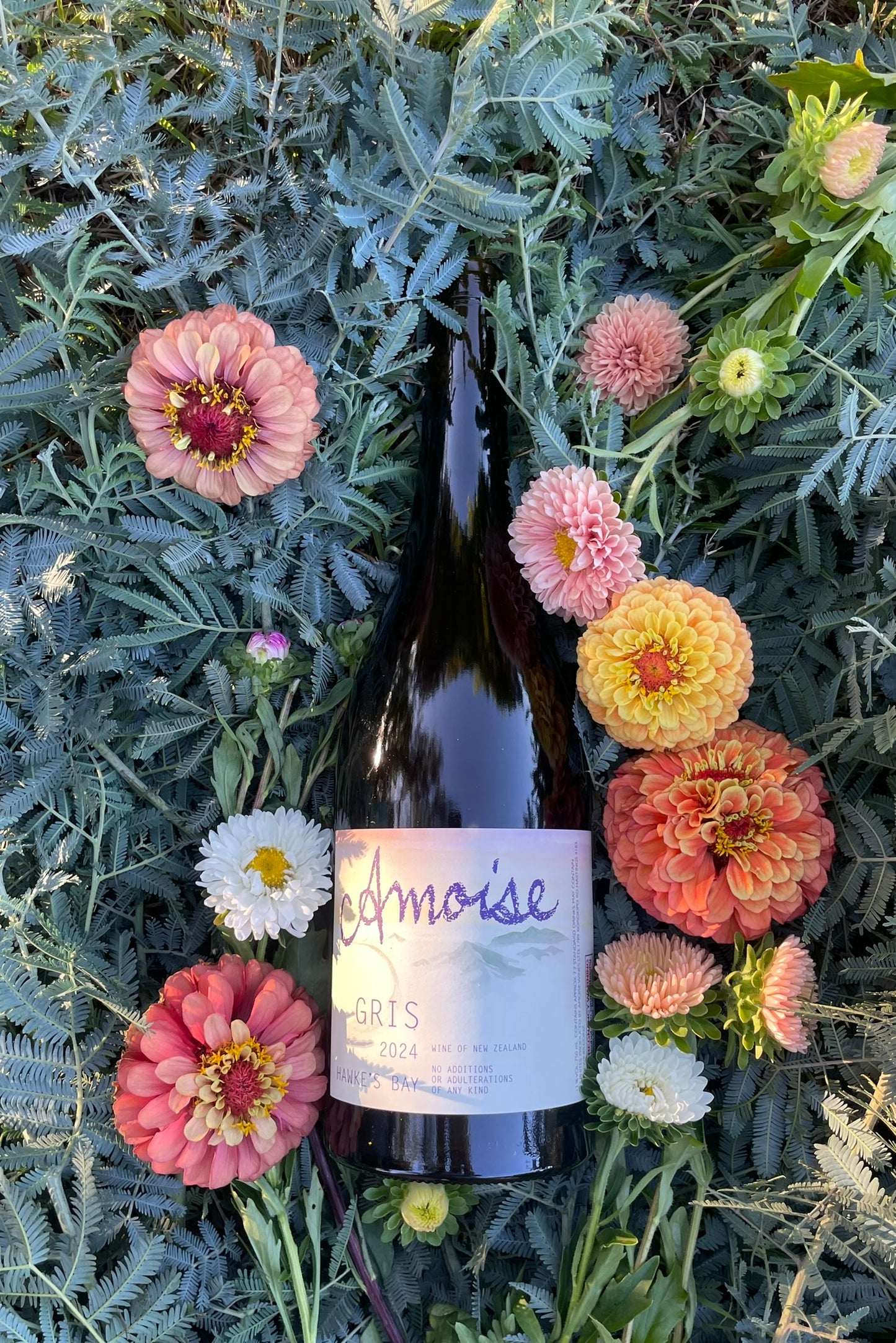 Amphora Gris 2024