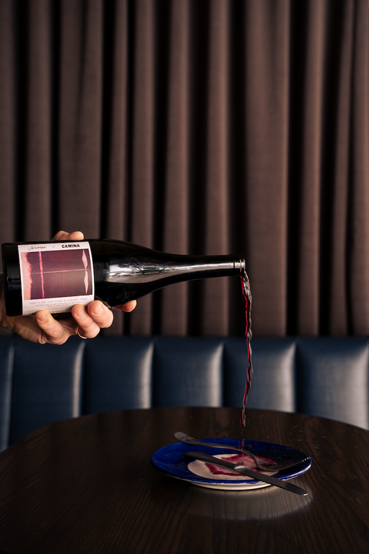 Amoise x Camina Collaboration