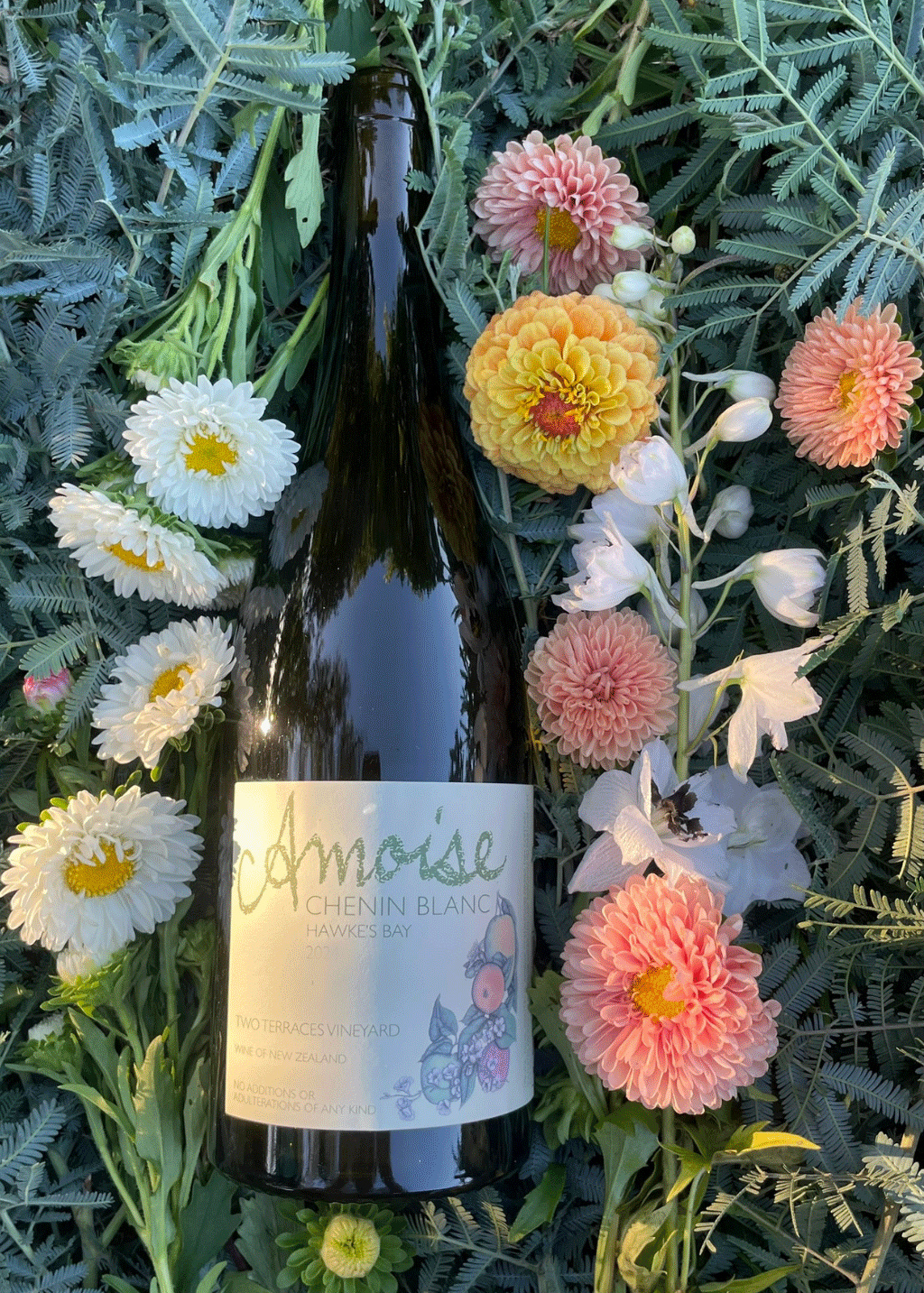 Chenin Blanc 2025